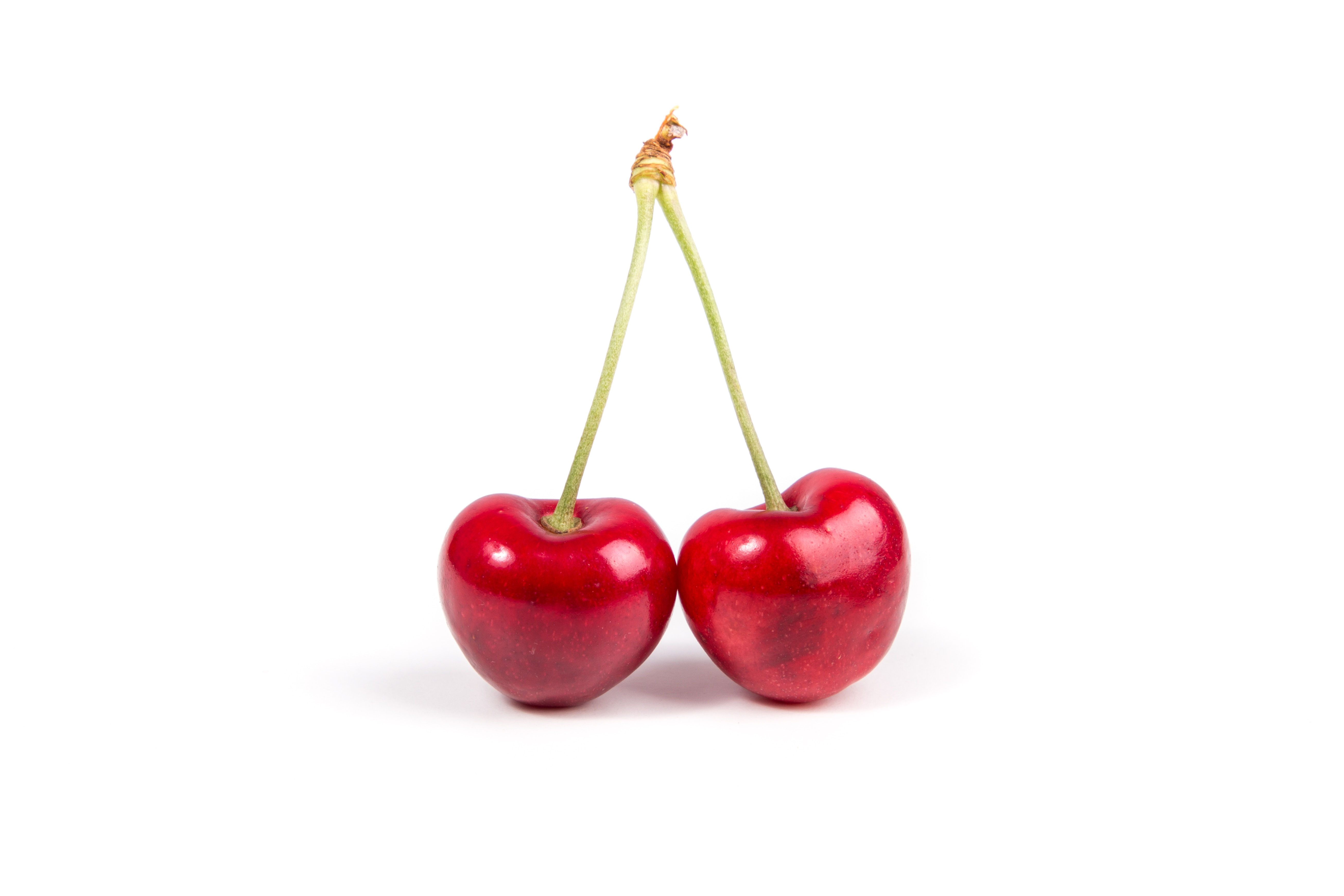 AquaShield Cherry — mecanismos de acción